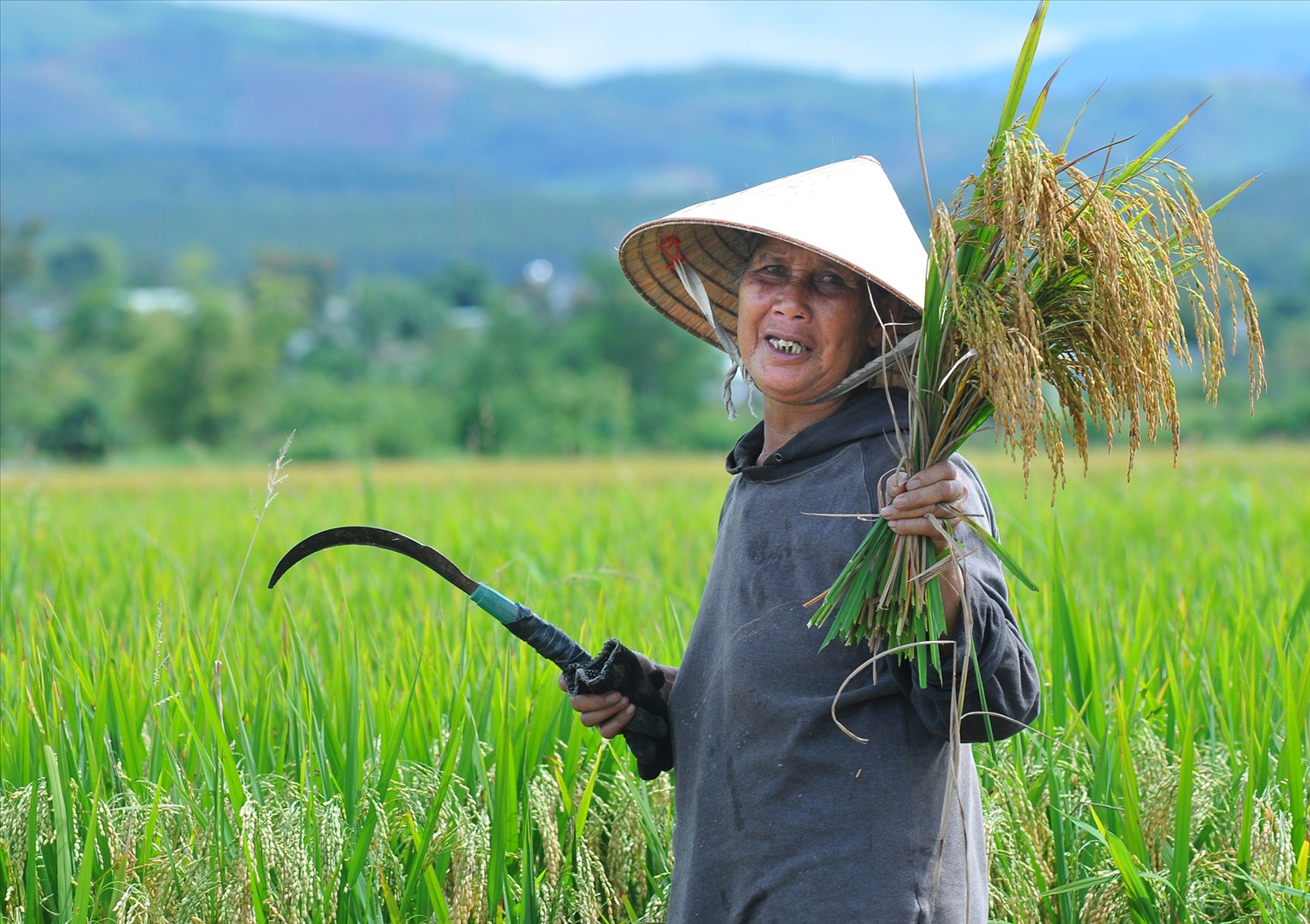 Bà Y Khen, thôn Kon Sơ Lam 1 phấn khởi ra đồng gặt lúa