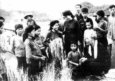 Bác Hồ thăm nông dân đang gặt lúa trên cánh đồng xã Hùng Sơn (huyện Đại Từ, Thái Nguyên), năm 1954.