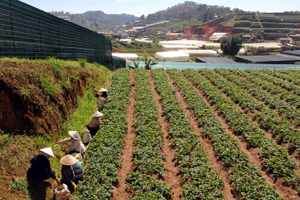  Đất và người Đa Phú hôm nay