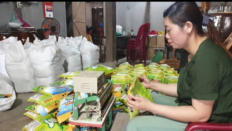 Khoảng 50% sản lượng Nếp Quýt sẽ được đóng bao bì mang nhãn hiệu Nếp Quýt Đạ Tẻh để tiêu thụ tại địa phương