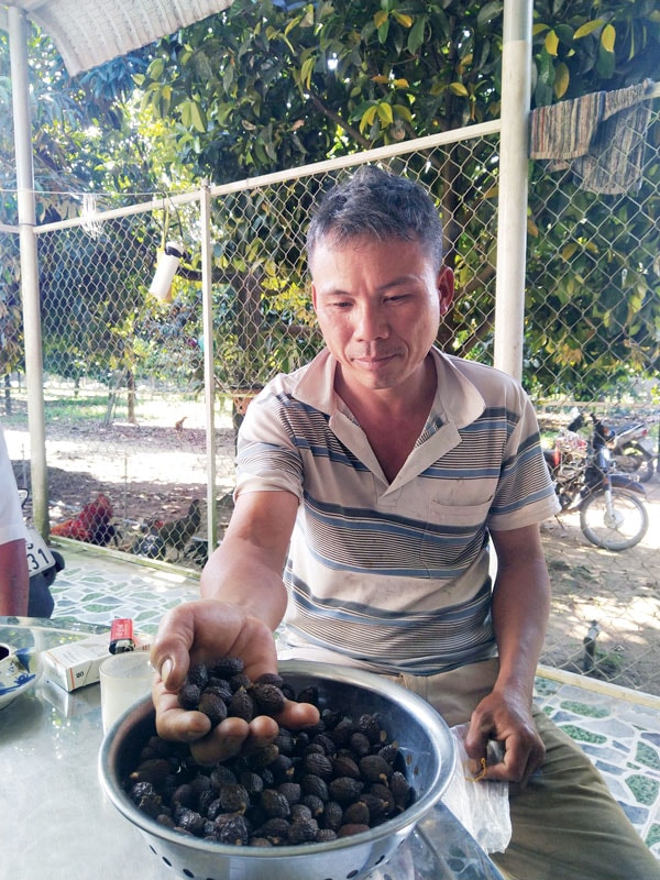 Nhặt hạt ươi mời khách uống thử
