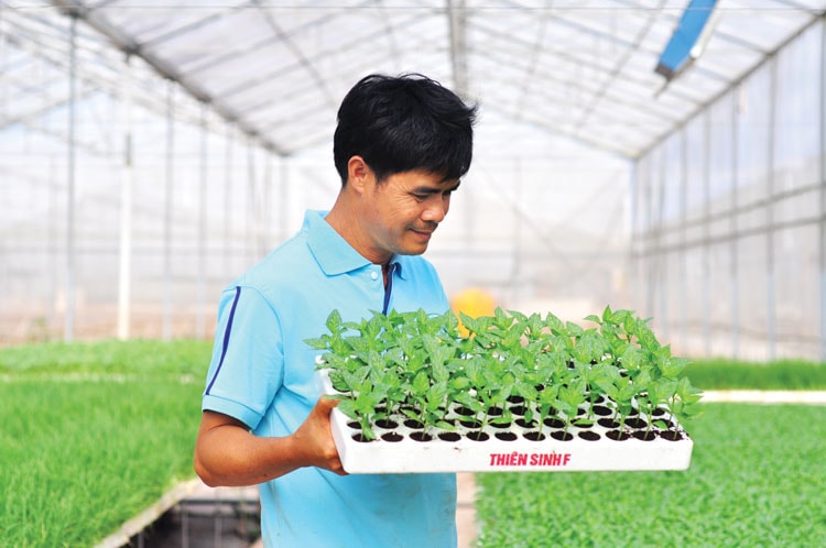 Ông Nguyễn Quốc Thắng - Chủ vườn ươm và trang trại sản xuất rau hữu cơ Thiên Sinh