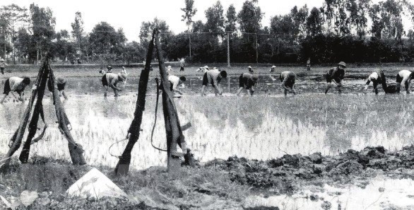Khắp các địa phương của tỉnh Hưng Yên dấy lên phong trào 'tay cày, tay súng và tay búa, tay súng,' 'Toàn dân chi viện chiến trường,' đẩy phong trào thi đua 'Quyết tâm đánh thắng giặc Mỹ xâm lược' lên cao hơn, rầm rộ và phong phú hơn.