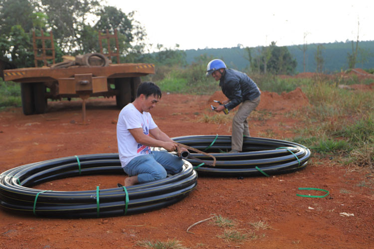 Các đại biểu tham dự hội nghị