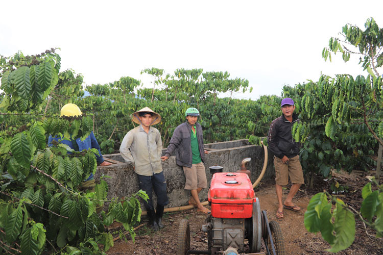 Người dân thôn 8 (xã Lộc Ngãi, huyện Bảo Lâm) túc trực chờ nước tưới cho cà phê