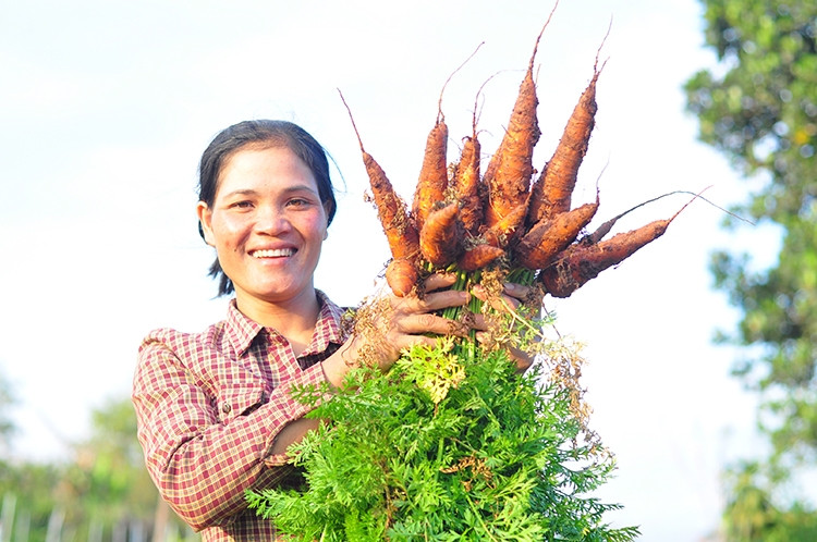 Nông sản hữu cơ sản xuất tại tổ hợp tác Iem Gõh Chu Ru một trong những đơn vị thường xuyên tham gia phiên chợ