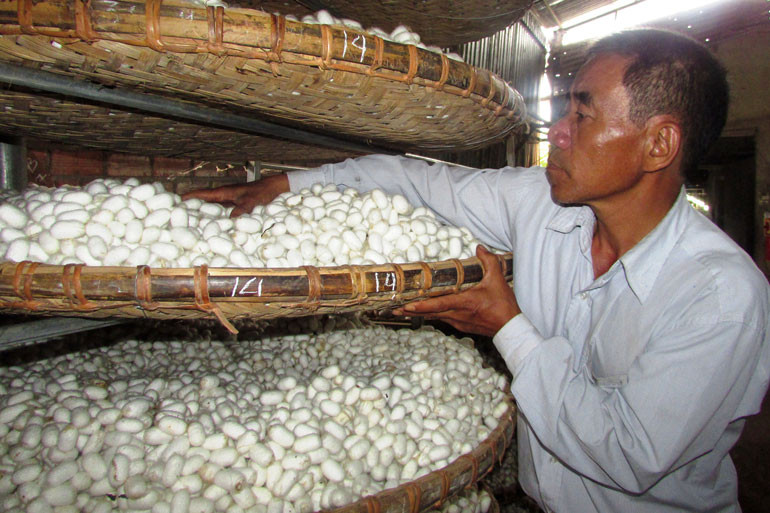 Trong 3 năm tới, Lâm Đồng phấn đấu đạt tổng sản lượng kén 14.300 tấn