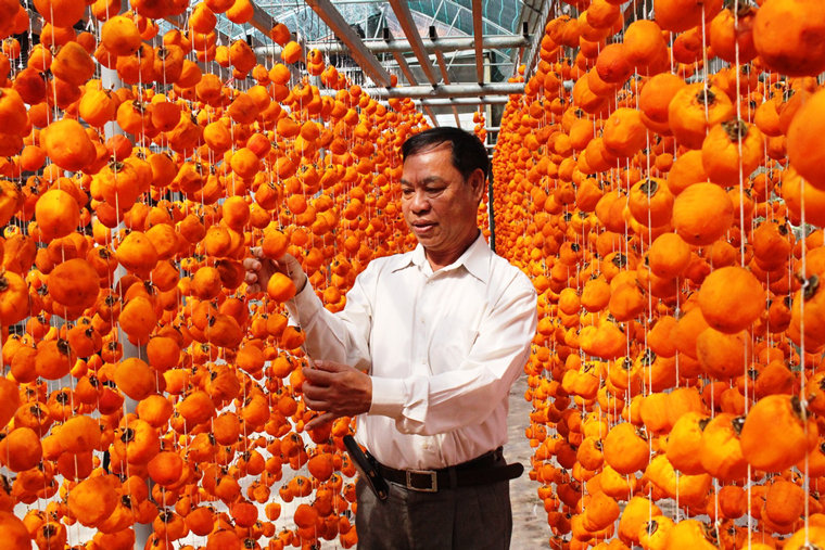 Với phương pháp sấy lạnh mới, mô phỏng theo 100% khí hậu mùa thu Nhật Bản, giúp sản phẩm hồng sấy treo gió tại Đà Lạt đạt chất lượng tương đương với hồng treo gió Nhật Bản