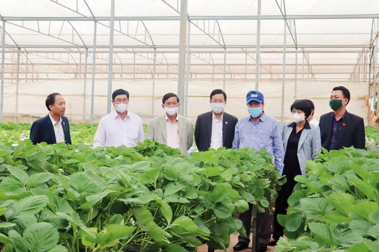 Thường trực Tỉnh ủy thường xuyên kiểm tra thực tế và làm việc trực tiếp ở cơ sở đã tạo nên nhiều hiệu quả trong triển khai, thực hiện các nhiệm vụ