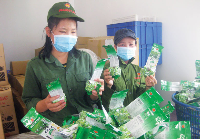 Trà là một trong những sản phẩm thế mạnh của Bảo Lộc