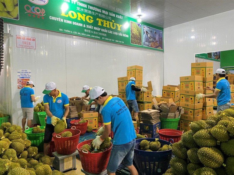 Công ty TNHH Thương mại Sản xuất Long Thủy là doanh nghiệp đầu tiên của tỉnh Lâm Đồng xuất khẩu sầu riêng chính ngạch sang thị trường Trung Quốc.