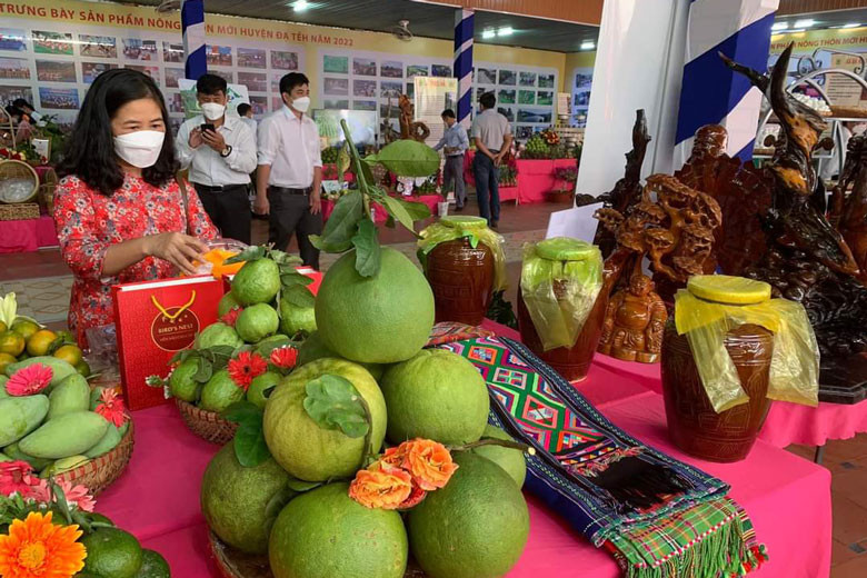 Bưởi da xanh Đạ Tẻh dần khẳng định thương hiệu trên thị trường