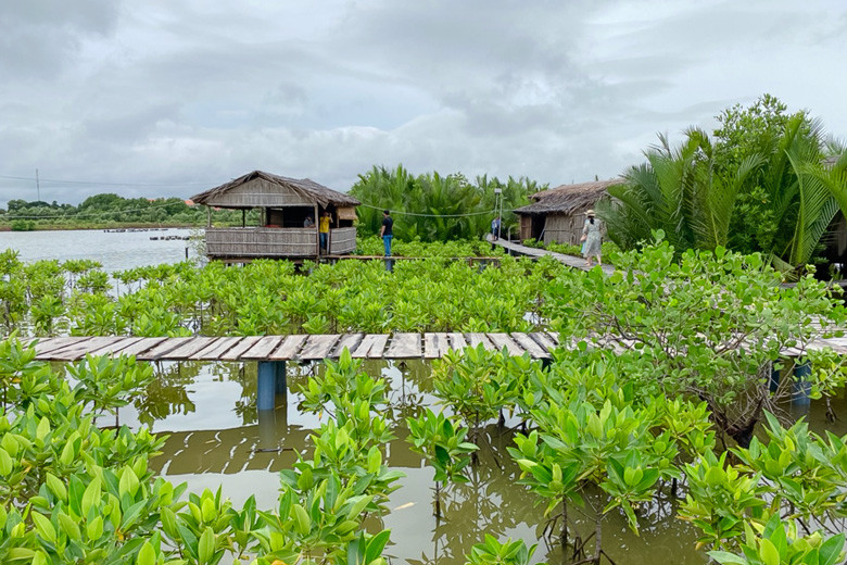 Phủ xanh 8 ha diện tích rừng ngập mặn trong tổng số 23 ha mặt nước tại Nông trại sinh thái Người Giữ Rừng