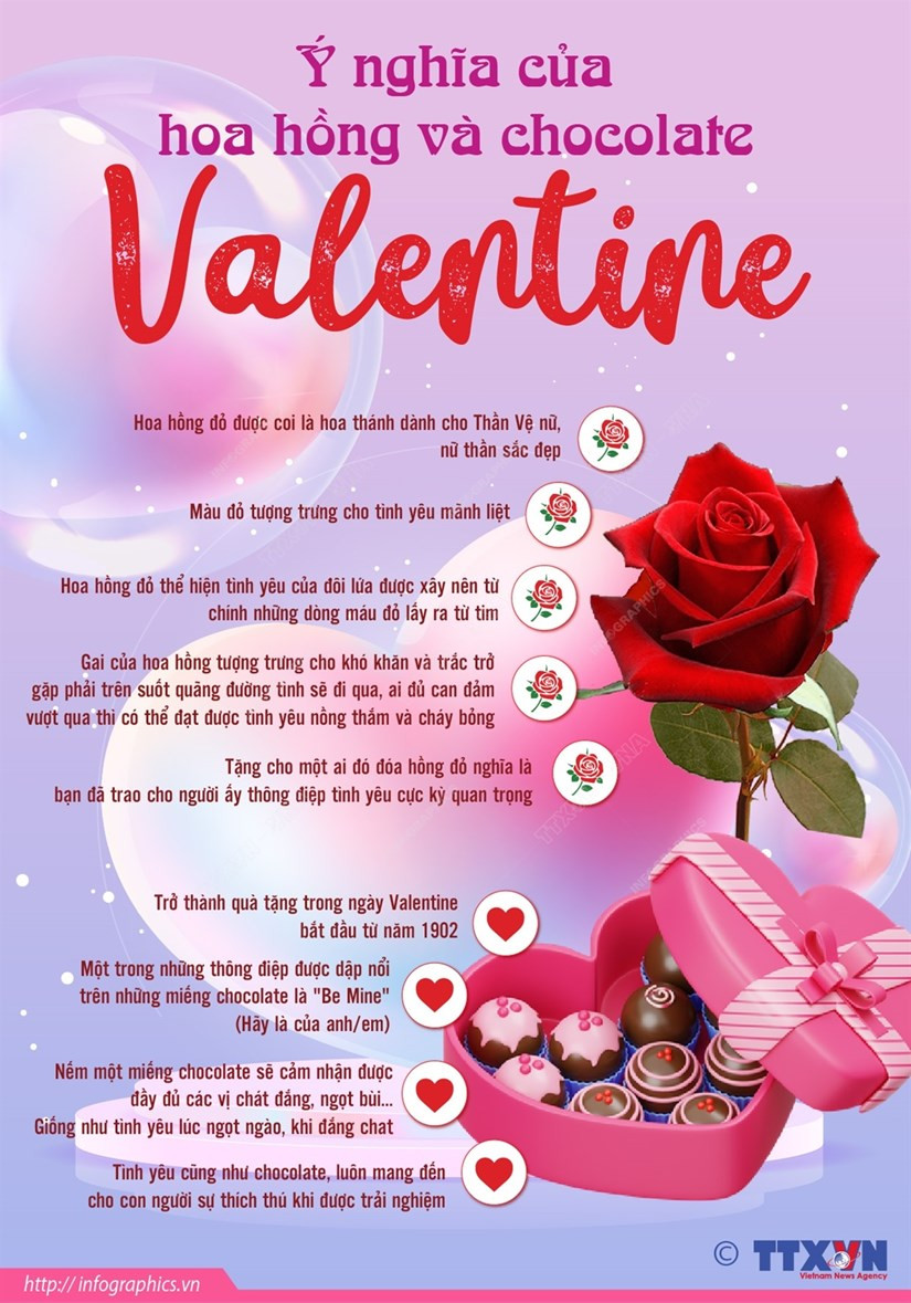 [Infographics] Y nghia cua hoa hong va chocolate ngay Valentine hinh anh 1