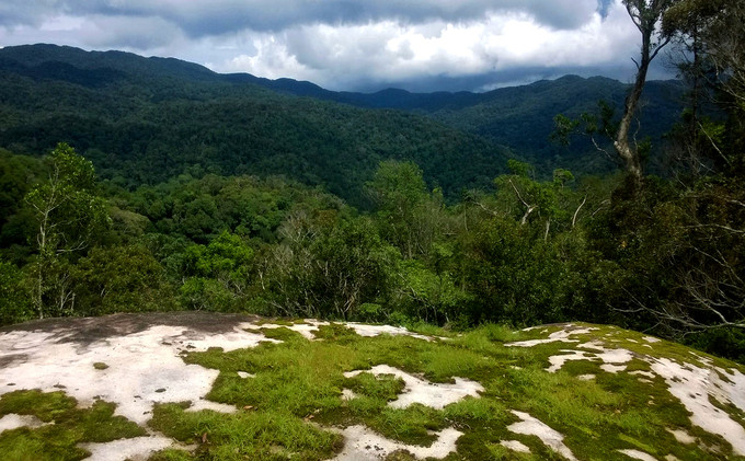 Đắk Nông đang nỗ lực bảo vệ hơn 196.000ha rừng tự nhiên còn lại của tỉnh và phát triển thêm diện tích mới. Trong ảnh là một góc thuộc khu bảo tồn thiên nhiên Nâm Nung, nằm trên địa bàn 3 huyện Krông Nô, Đăk Glong và Đăk Song, tỉnh Đắk Nông. Ảnh: Hồng Thuỷ.