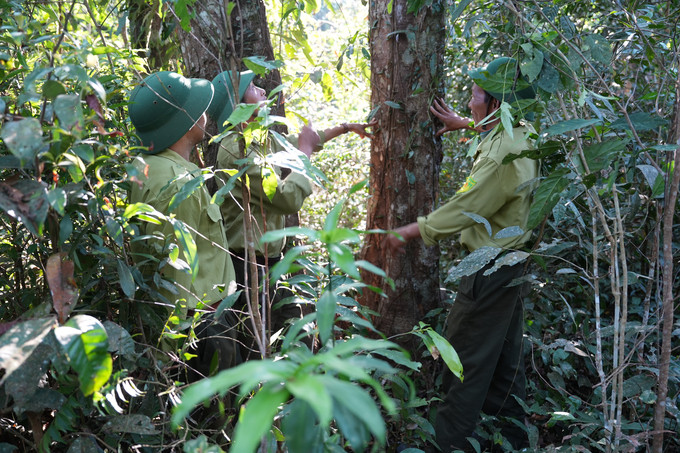 Lực lượng bảo vệ ở chốt số 5, Khu bảo tồn Nâm Nung đang tuần tra rừng. Ảnh: Hồng Thuỷ.