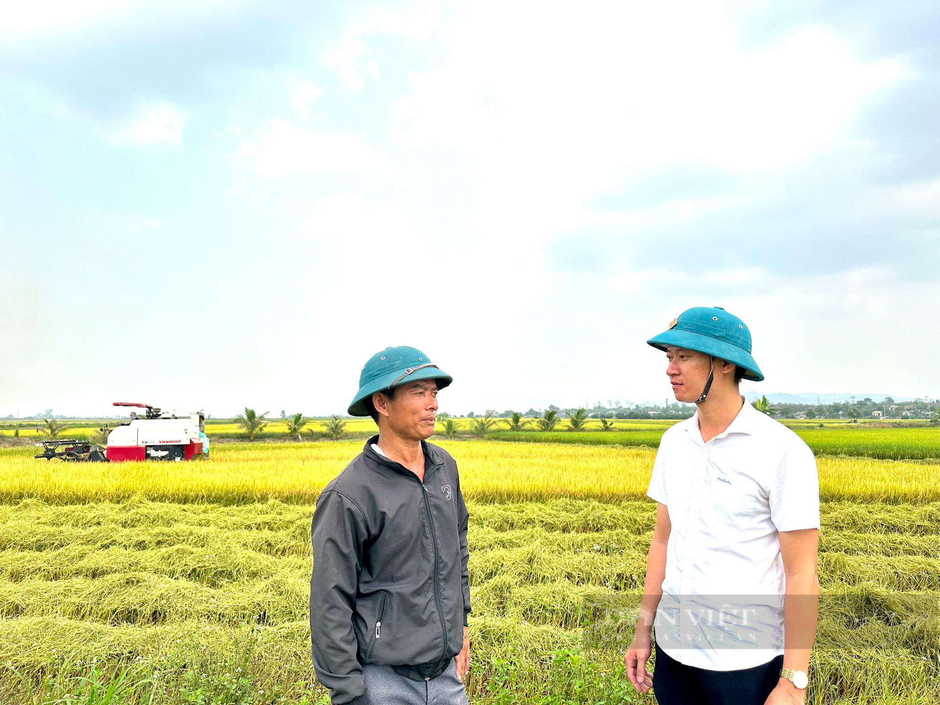 Thông tin mới nhất vụ hơn 200 ha lúa ở vựa lúa lớn nhất tỉnh Đắk Nông bị nghẽn bông, lép hạt - Ảnh 1.