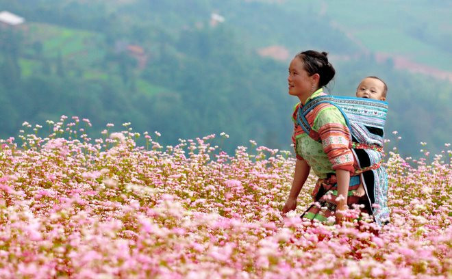 van-mau-hinh-anh-cua-nguoi-me-trong-khuc-hat-ru-nhung-em-be-lon-tren-lung-me.jpg