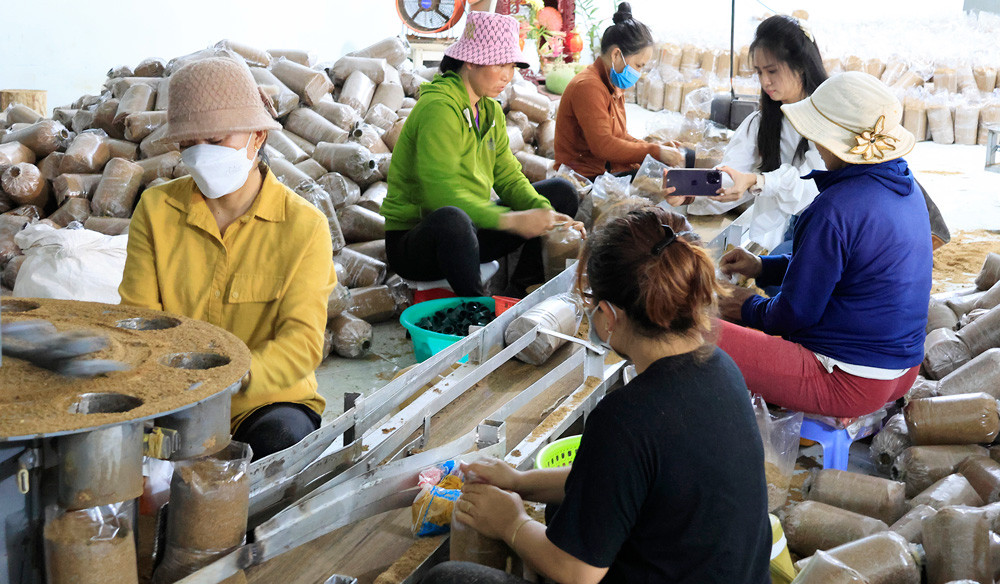 Công nhân đóng mùn vào bịch bằng máy băng chuyền