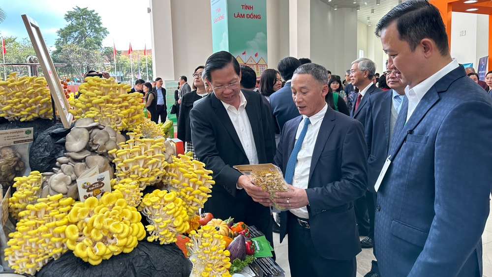 Lãnh đạo tỉnh luôn quan tâm vấn đề phát triển kinh tế xanh, bền vững