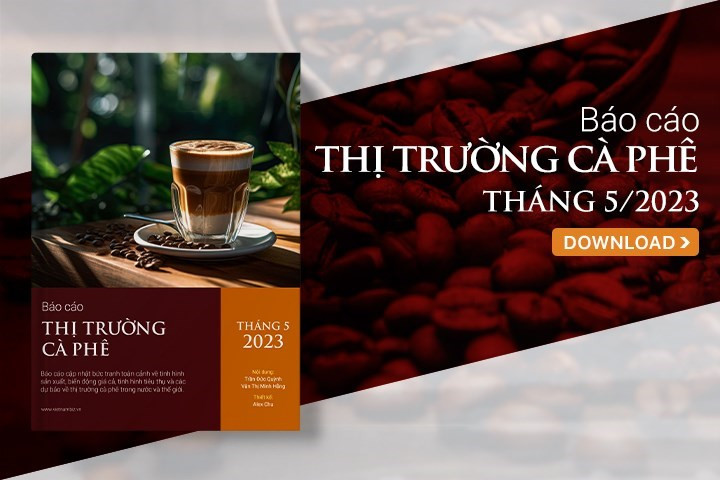 Avatar cà phê  Nha Trang  riviuvn