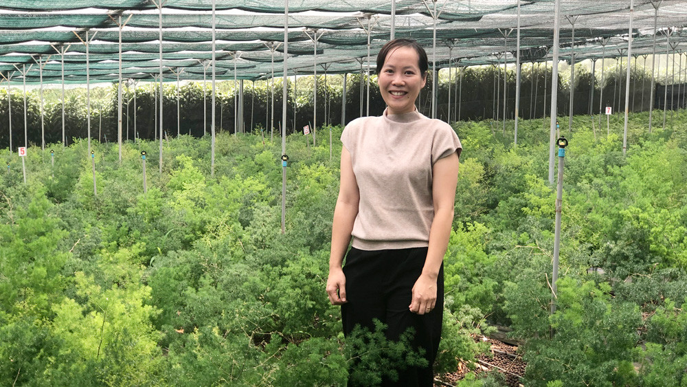 Nguyễn Ngọc Quỳnh Như trong vườn lá cảnh
