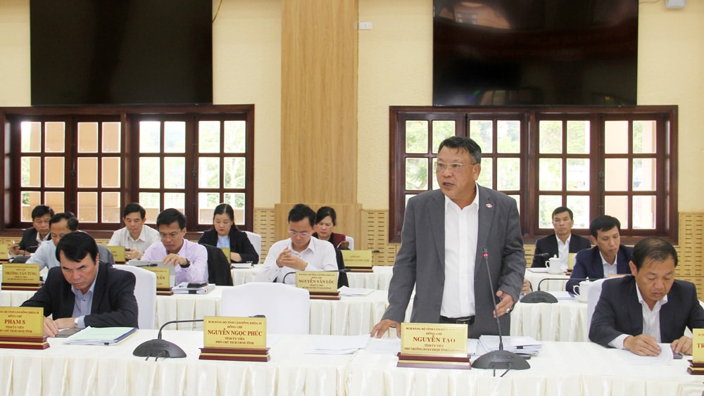 Đại biểu phát biểu ý kiến tại Hội trường