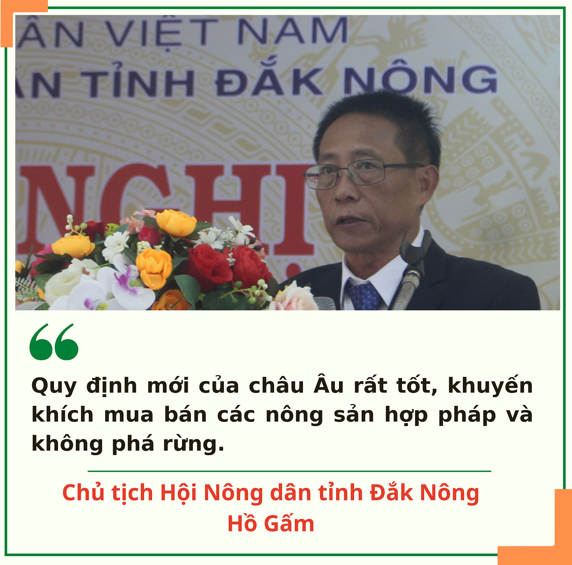 _phat-ngon-an-tuong-ong-gam-viet.png