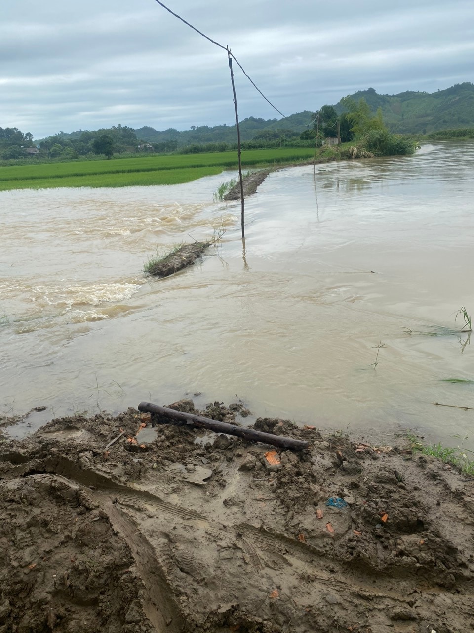 Bão lũ gây thiệt hại hơn 2.400 ha hoa màu ở Đắk Lắk - Ảnh 2.