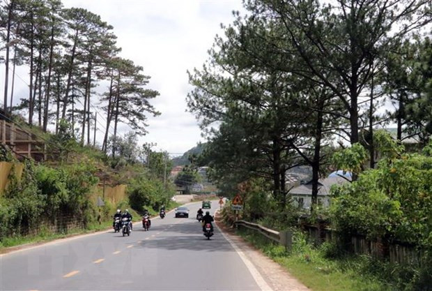 Lam Dong: Danh gia nguy co sat lo o deo Mimosa va duong Hoa Do Quyen hinh anh 1