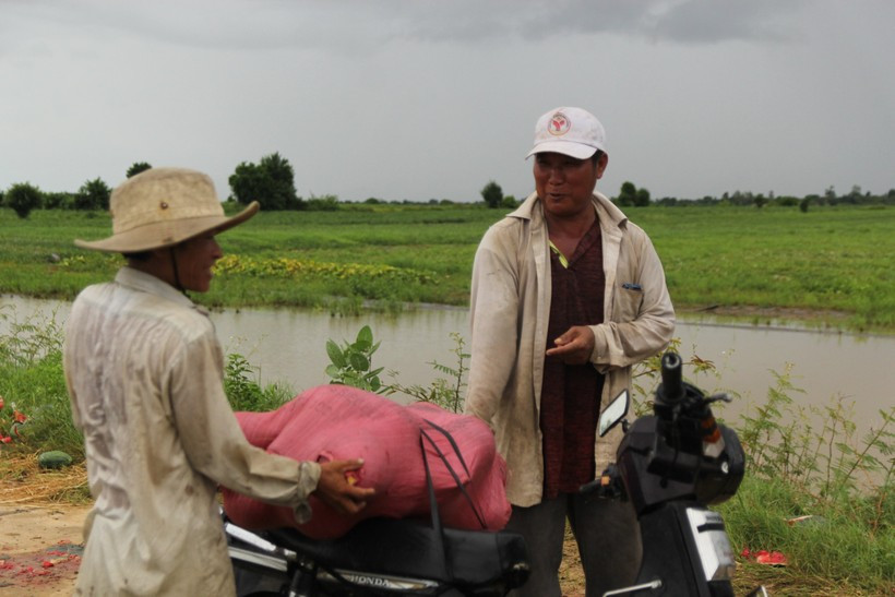 Dân nghèo Gia Lai xót xa nhìn dưa hấu chìm trong ‘biển’ nước ảnh 7