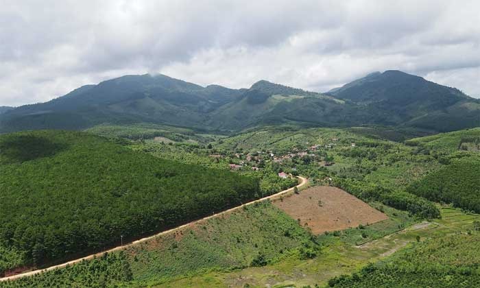 Đầu tư hàng trăm triệu đồng dựng “mắt thần” bảo vệ rừng -0