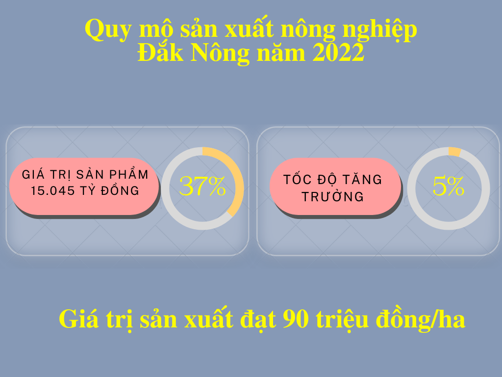 quy-mo-san-xuat-nong-nghiep-dak-nong-nam-2022.png