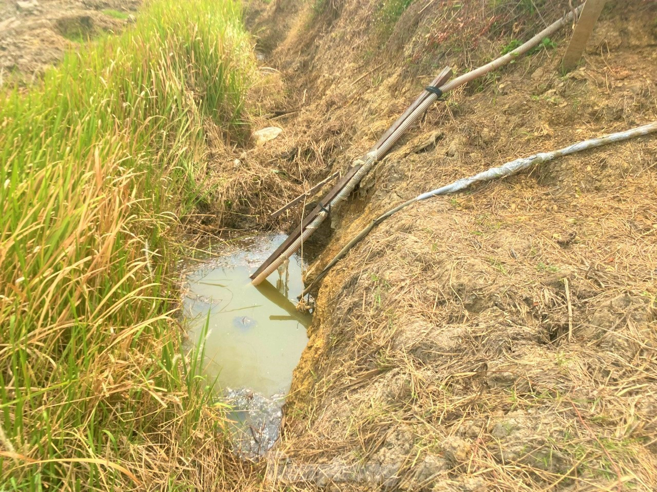 Nhà máy nước hiện đại nhất Đắk Lắk để không, người dân vẫn phải dùng nước hồ, nước mưa ảnh 6