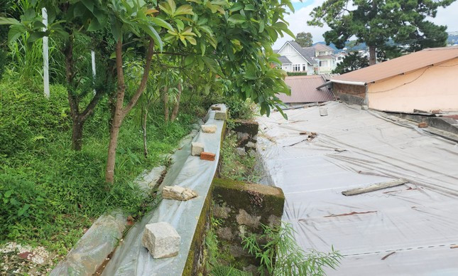 Đà Lạt khẩn cấp cải tạo kè chắn đất của chung cư Đặng Thái Thân ảnh 7