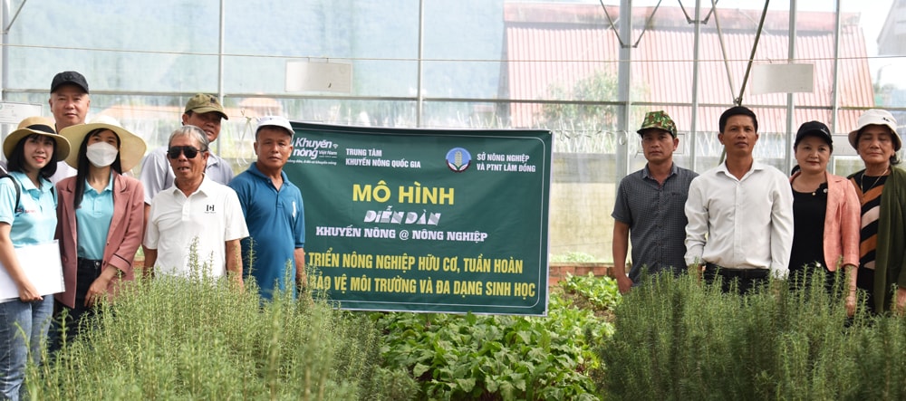 Đại biểu tham quan mô hình sản xuất rau hữu cơ tại Công ty cổ phần CP Việt Nam tại xã Hiệp An, huyện Đức Trọng
