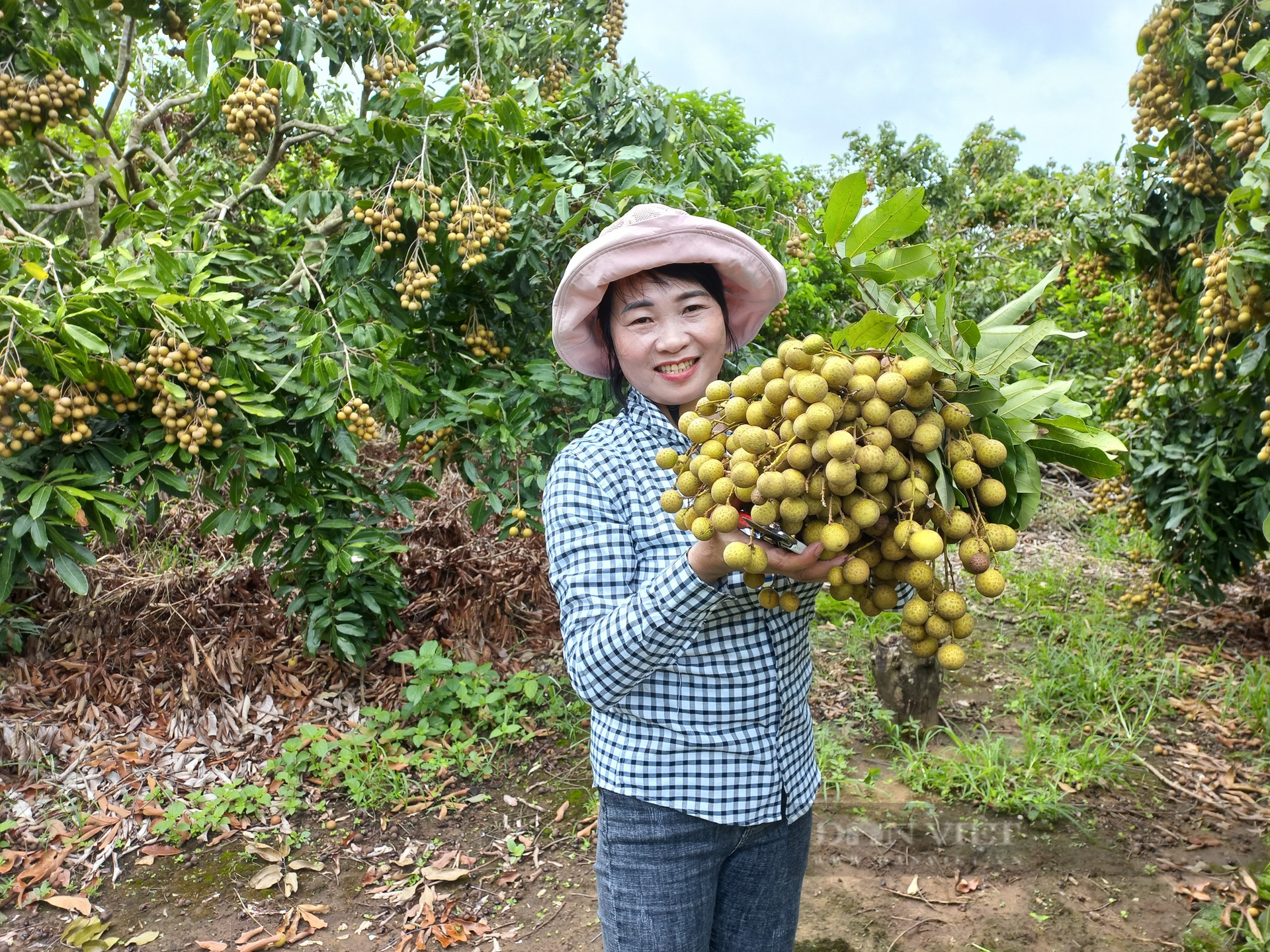 Thu tiền tỷ từ trồng cây ăn trái, nữ nông dân ở Gia Lai được công nhận 