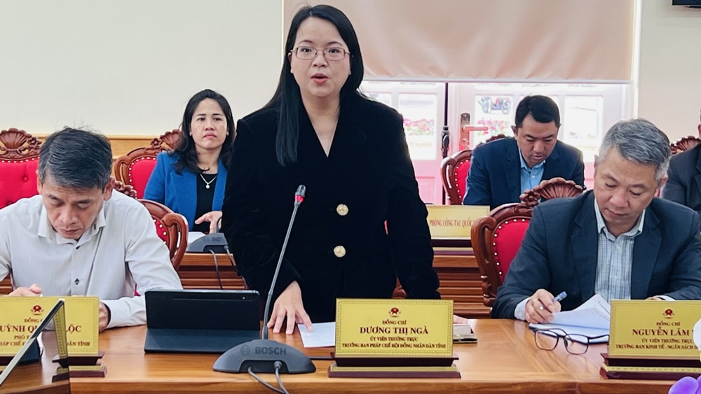 Bà Dương Thị Ngà - Ủy viên Thường trực, Trưởng Ban Pháp chế HĐND tỉnh phát biểu tại hội thảo