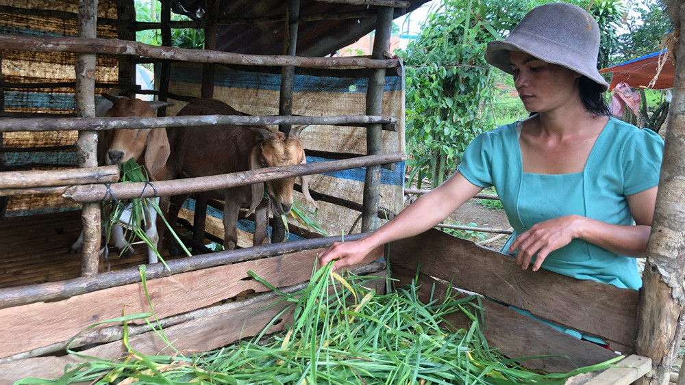 Chị Ka Ces cho dễ ăn