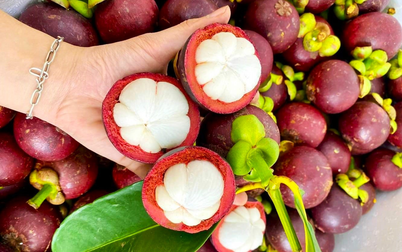 Măng cụt Bảo Lộc có cơm dày trắng muốt, thơm ngon và có độ chua ngọt rất thanh