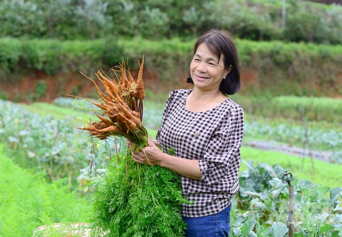 Sau nhiều năm kiên trì sản xuất rau hữu cơ, bà Lê Thị Thu Hậu đã đạt thành quả xứng đáng. Ảnh: Minh Hậu.