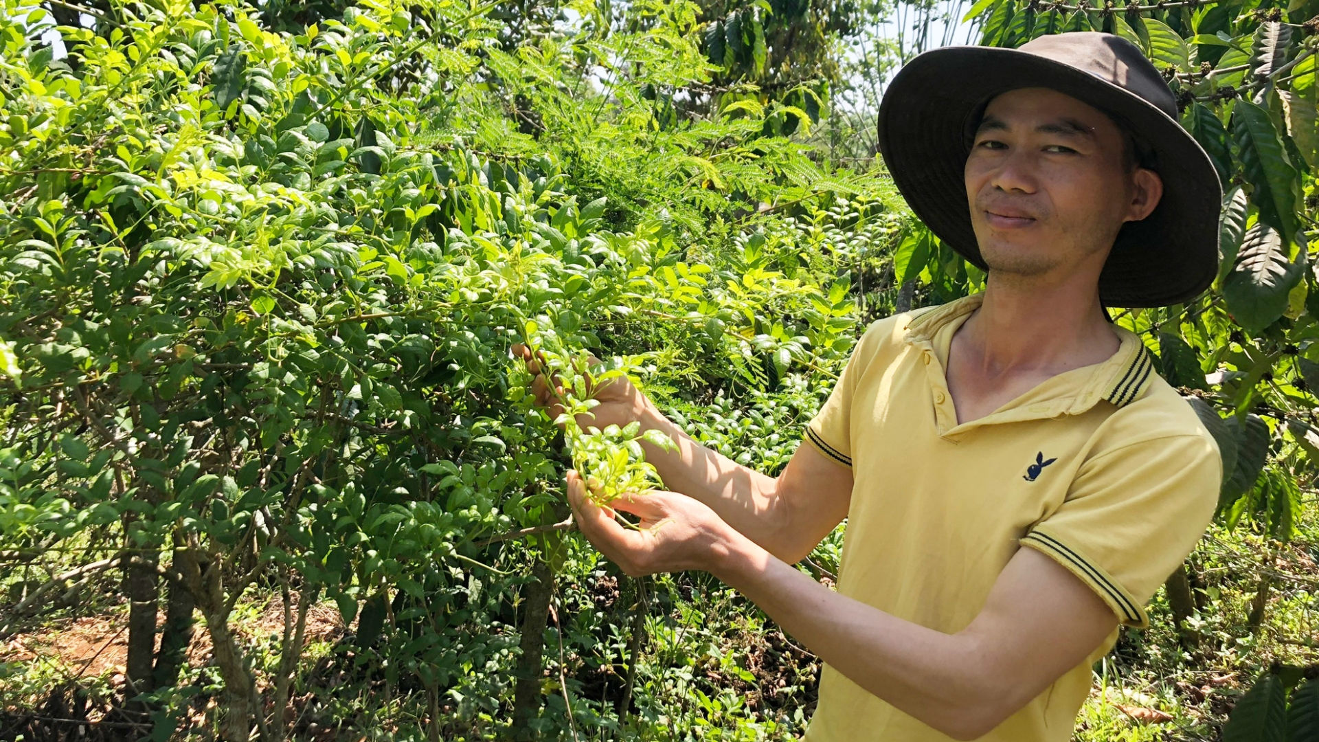 Anh Minh bên một gốc trà dây