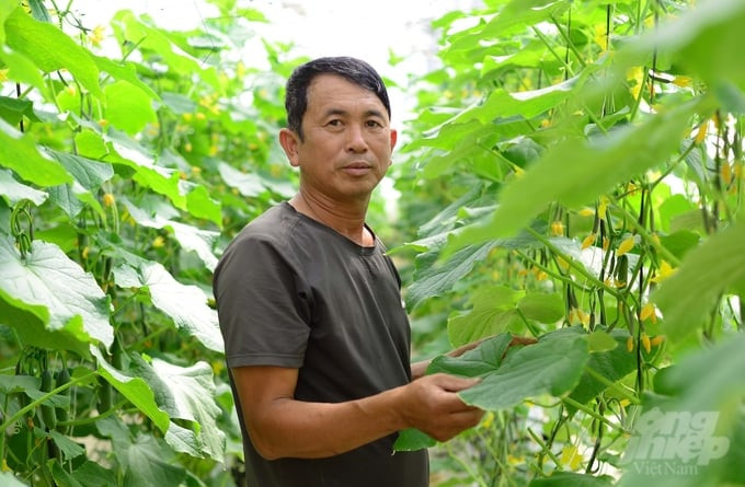 Gia đình ông Nguyễn Văn Trường đã có thu nhập vượt trội khi chuyển sang làm nông nghiệp công nghệ cao. Ảnh: Minh Hậu.