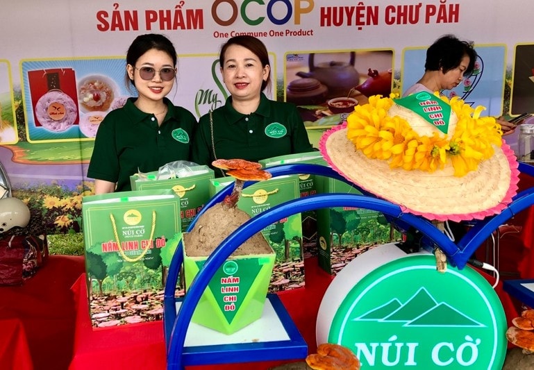 Gia Lai: Tuần lễ hoa dã quỳ Chư Đang Ya-Cơ hội quảng bá và tiêu thụ sản phẩm địa phương