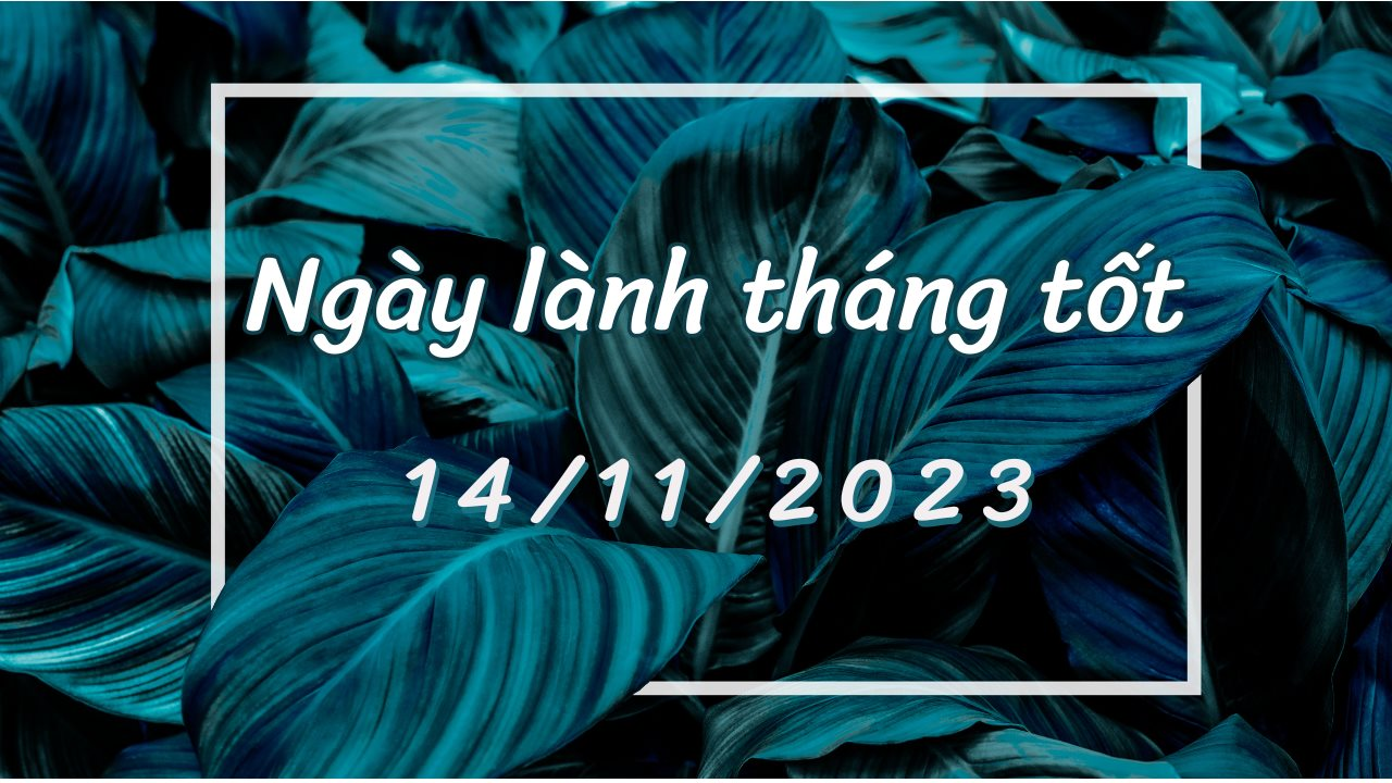 Xem ngày lành tháng tốt 14/11/2023: Đây là ngày tốt cho giao dịch mua sắm, ngày xấu cho việc chôn cất, xây dựng, cưới gả.