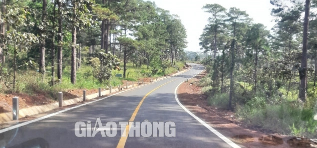 Lâm Đồng điều chỉnh Dự án Nâng cấp đường nối từ đường ĐT 725 đến ranh giới tỉnh Đắk Nông - Ảnh 2.