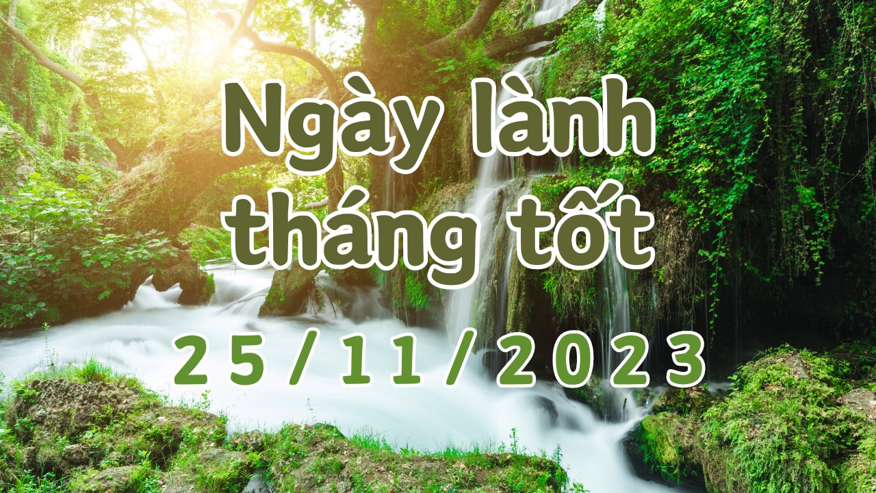 Xem ngày lành tháng tốt 25/11/2023: Đây là ngày xấu, kiêng xây dựng nhà cửa, xuất hành, chỉ nên làm việc thường ngày