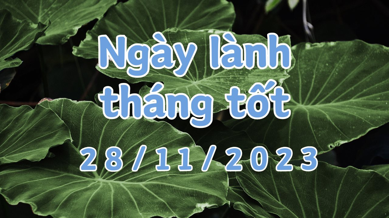 xem-ngay-2-.png