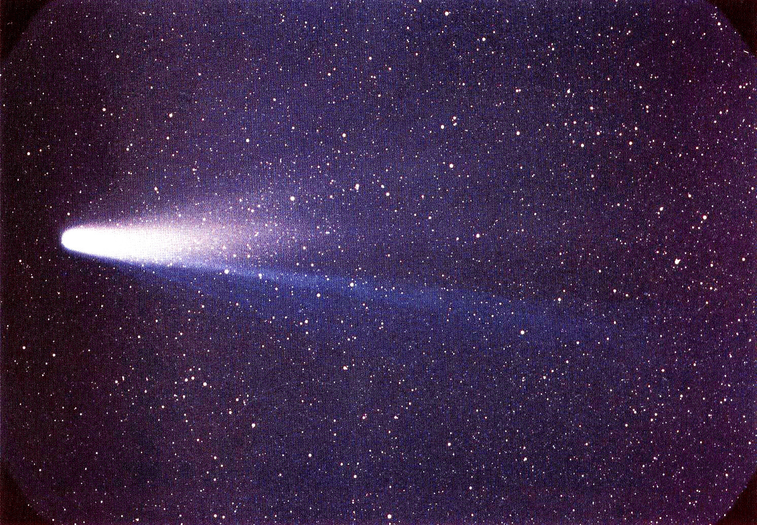 Sao chổi Halley – Wikipedia tiếng Việt