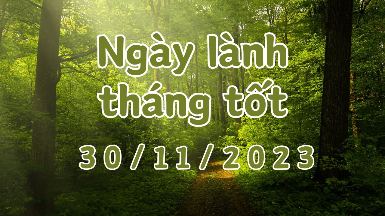 Xem ngày lành tháng tốt 30/11/2023: Đây là ngày tốt, mang đến những tin vui bất chợt cùng sự tốt lành, may mắn